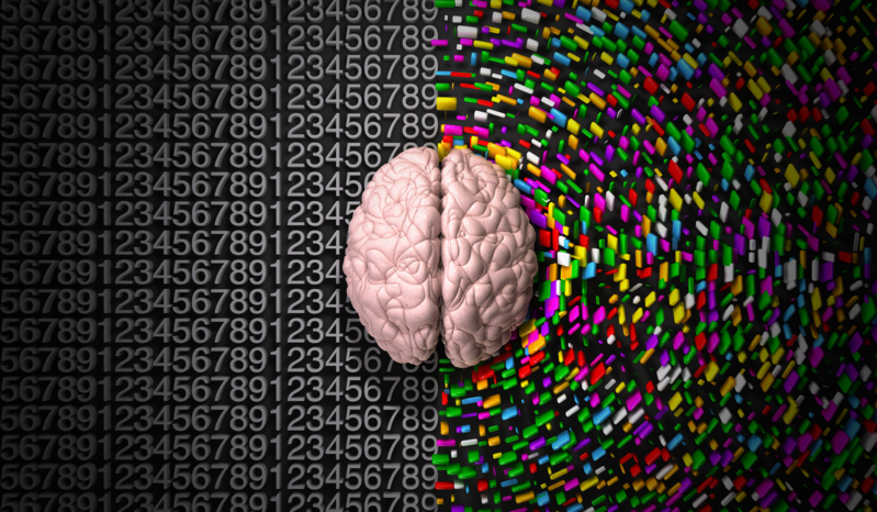 Jaki umysł posiadasz?