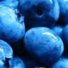 Blueberry27