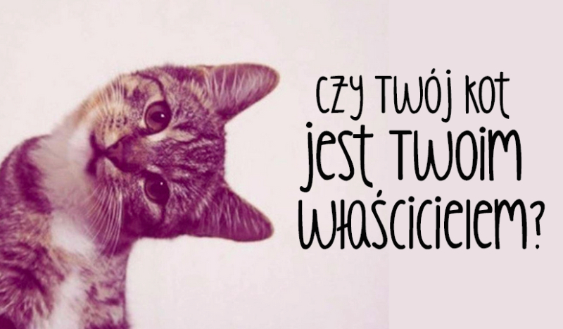 Czy Twój kot jest Twoim właścicielem?