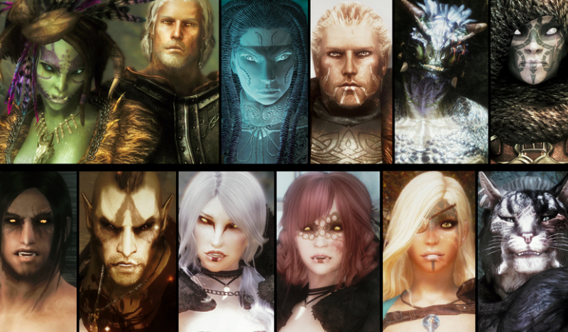 Kim powinieneś być w Skyrim?