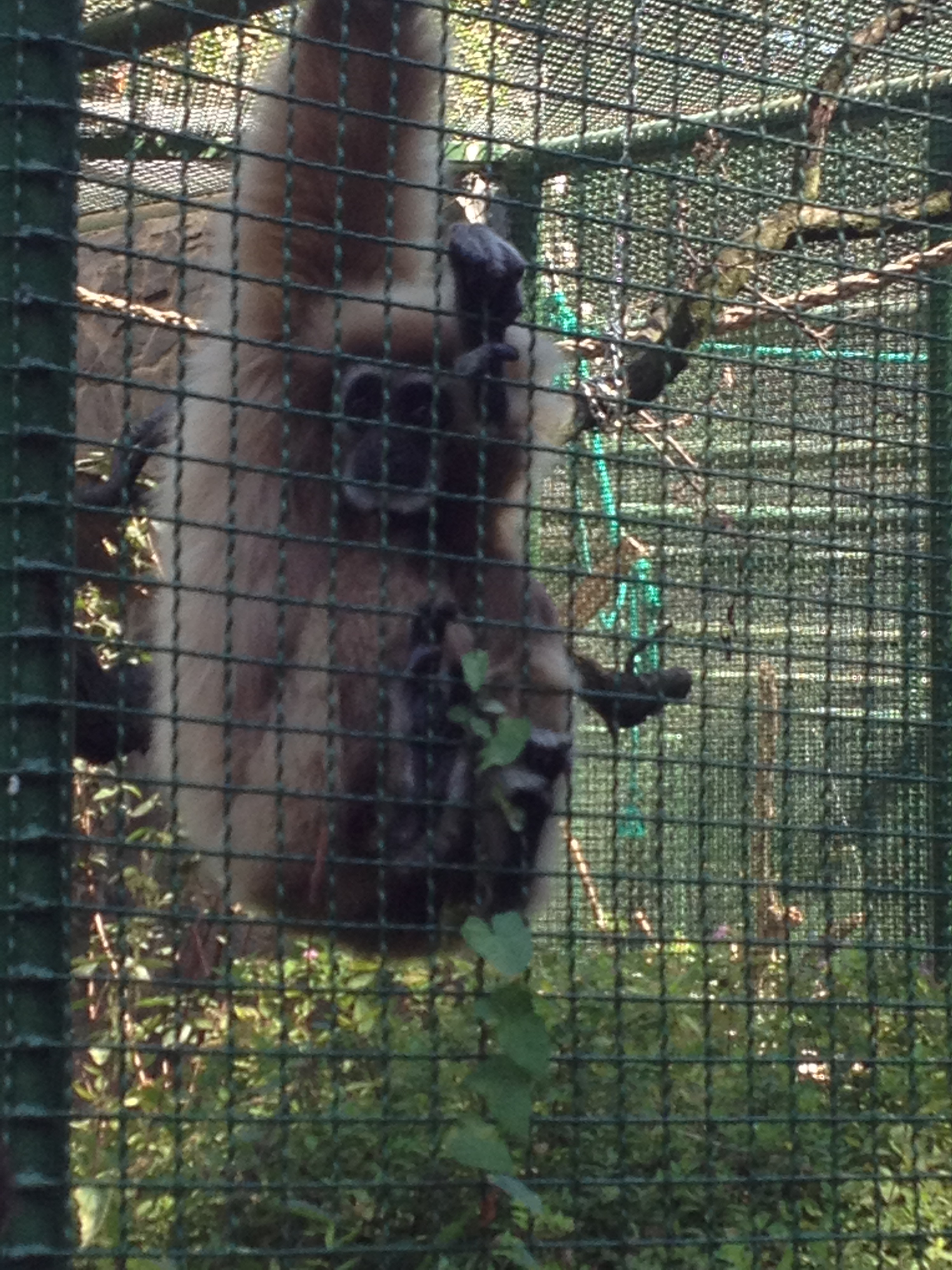 Gabriela_Kwiatkowska