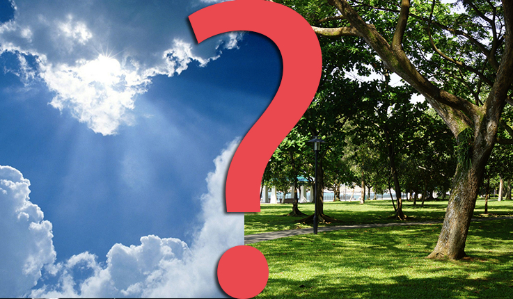 16 pytań z serii „Co wolisz?”.