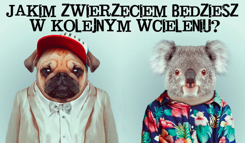 Jakim zwierzęciem będziesz w następnym wcieleniu?