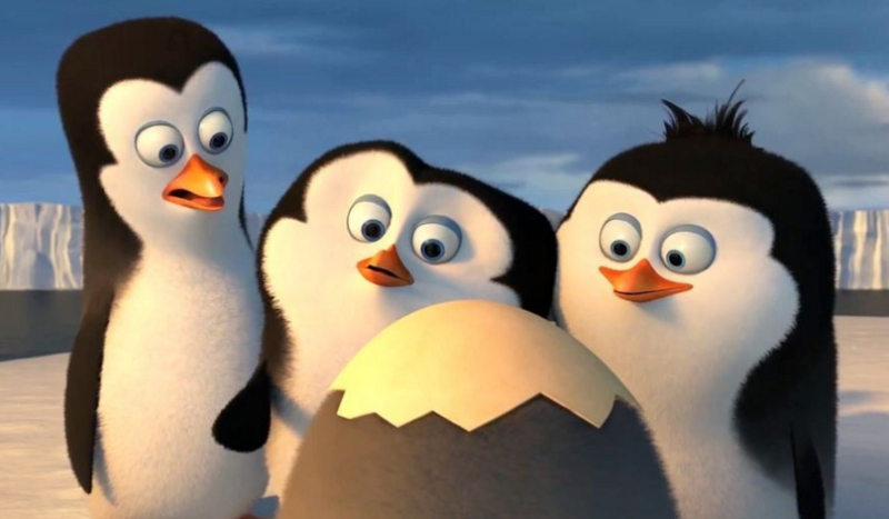 Czy jesteś prawdziwym fanem Pingwinów z Madagaskaru? Sprawdź to!