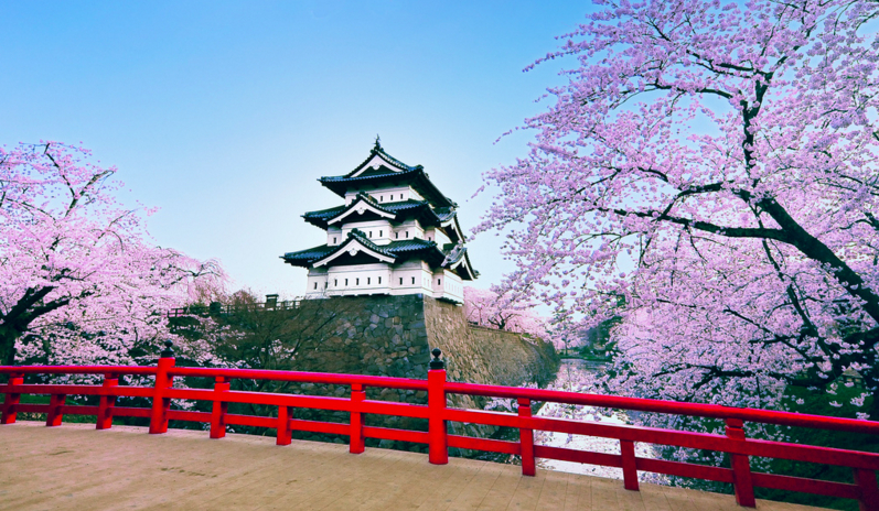 Test z podstaw języka japońskiego.