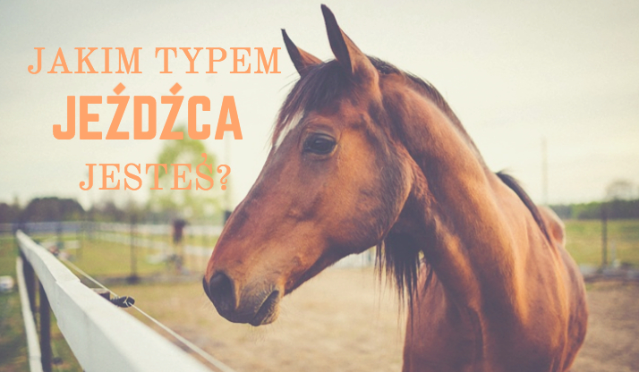 Jakim typem jeźdźca jesteś?