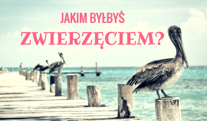 Jakim byłbyś zwierzęciem?