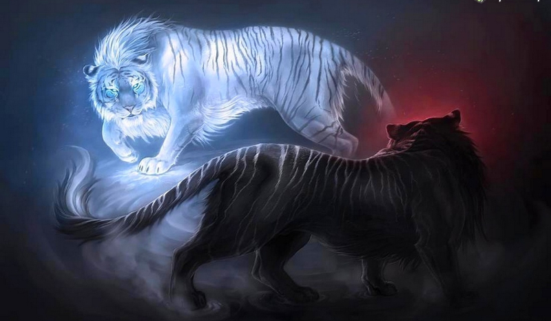 Kim z „Klątwy tygrysa” jesteś?