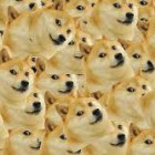 chlebel