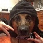 Kacper_Sanetra