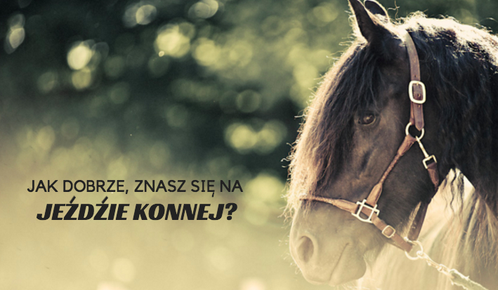 Jak dobrze znasz się na jeździe konnej?
