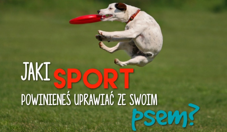 Jaki sport powinieneś uprawiać ze swoim psem?