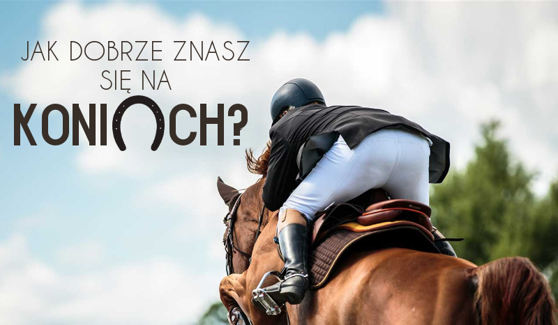 Jak dobrze znasz się na koniach?