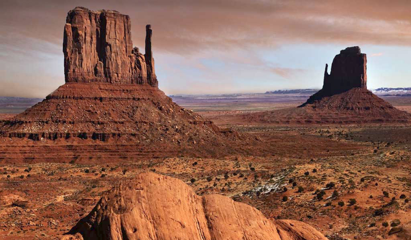 Czy przetrwasz na pustyni?