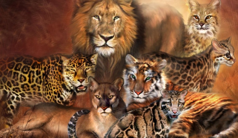 Jakim kotem jesteś?