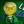 Lloyd Garmadon