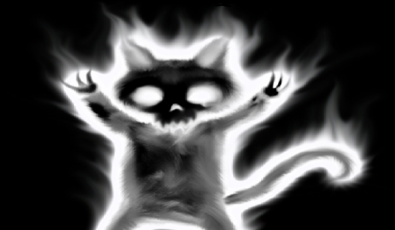 Bardzo ogólne pytania o mnie :D