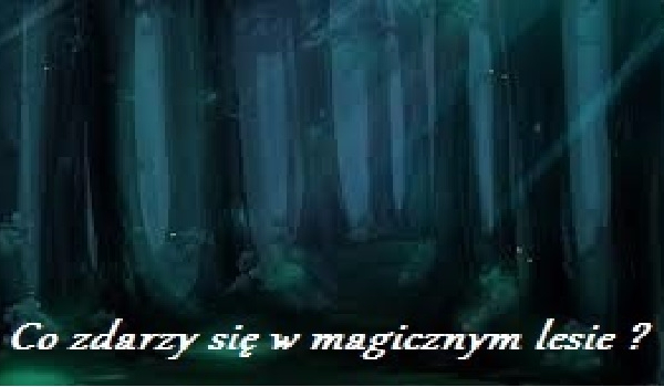 Co zdarzy się w magicznym lesie ?