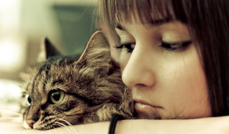 Przyżyj kilka dni jako kot!