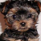 ZuziaWWW