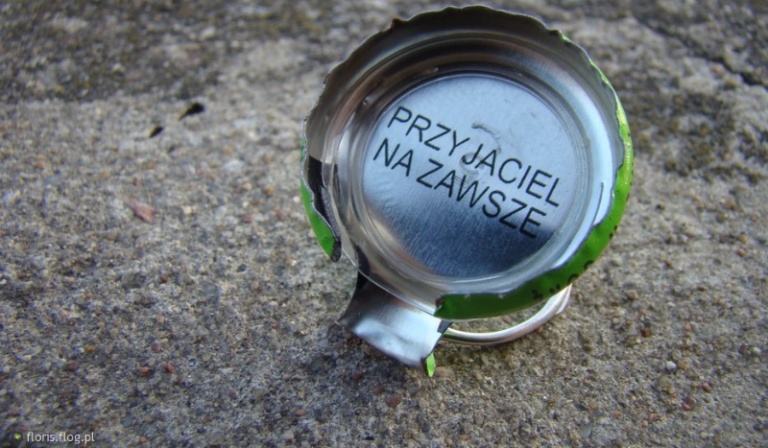 Czy podobasz mu się ?