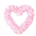 PinkAndWhite