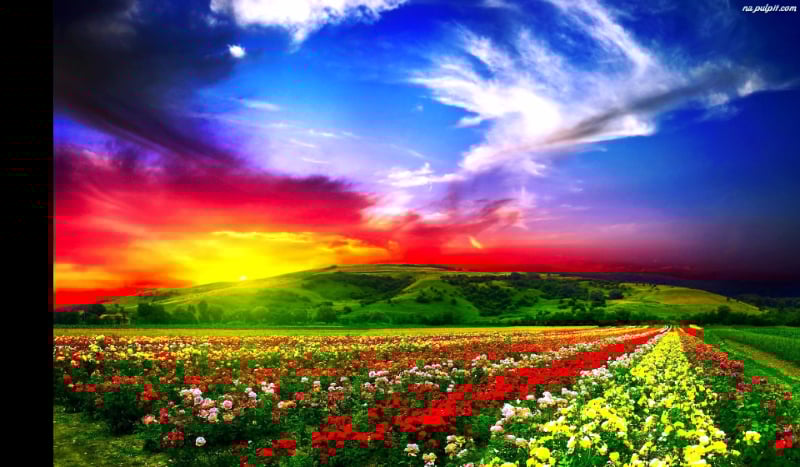 Jaka tapeta do ciebie pasuje.