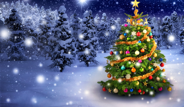 Czy lubisz święta ?