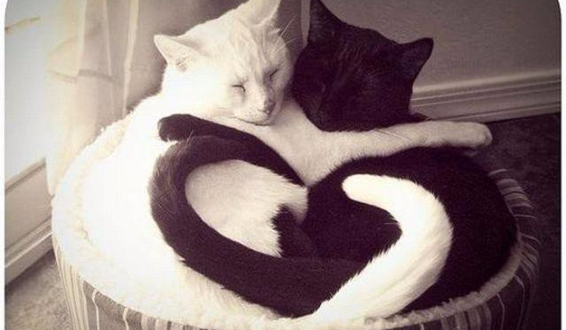 Czy jesteś romantyczny?