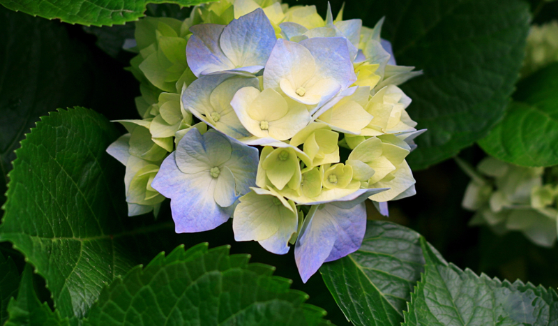 Jaka jesteś naprawde?!!