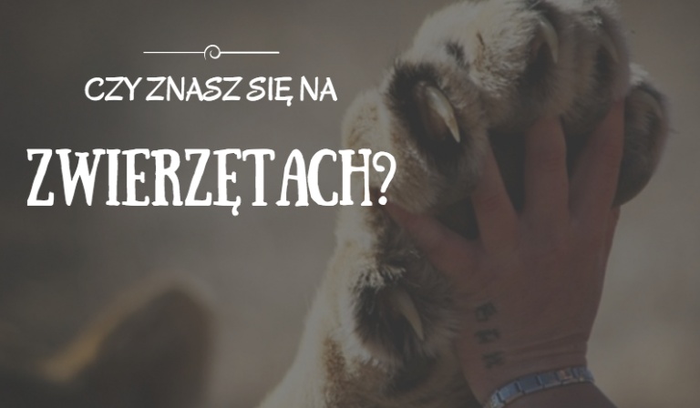 Czy znasz się na zwierzątach?
