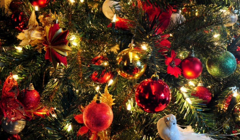 Jaka kolenda do ciebie pasuje?