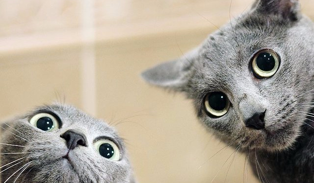 Zdaj się na los !!!