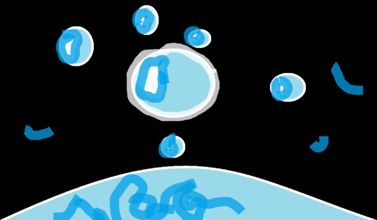 Jak dobrze znasz Irisę Amber Nomeę?