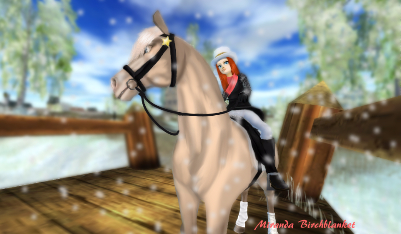 Jakim graczem StarStable jesteś?