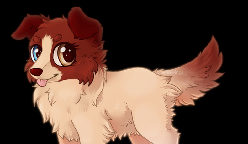 Jak dobrze znasz lps