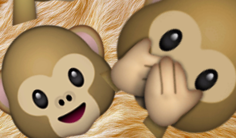 Jak dobrze znasz Yoczooka?