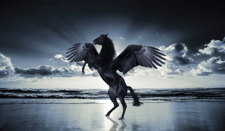 Masz więcej z pegaza, czy jednorożca?