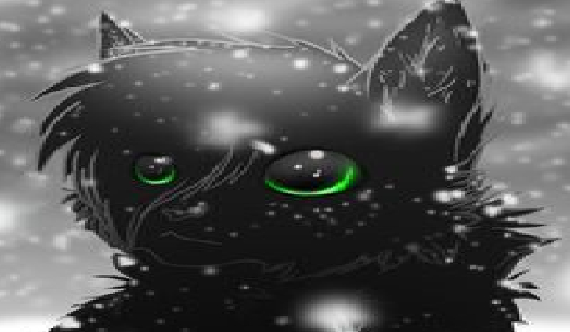 Jakim warriors cats jesteś?