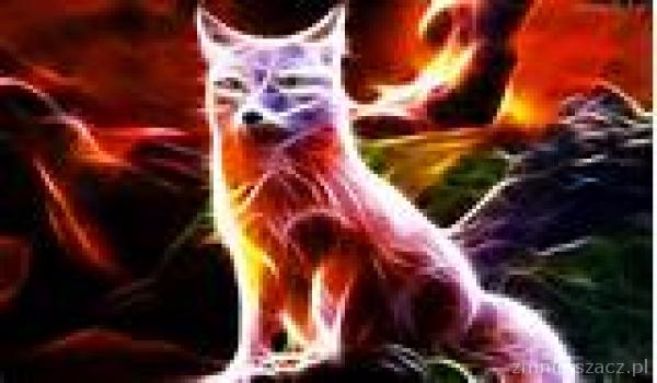 Wylosuj jakiś challenge!