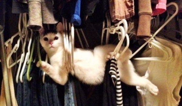 Test na.. w sumie wszystko :D