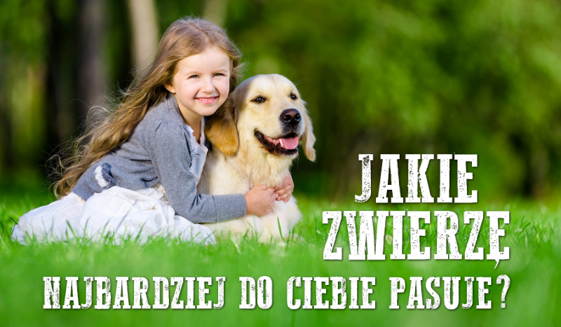 Jakie zwierzę będzie do Ciebie najbardziej pasować?