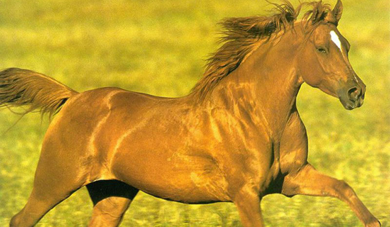 Jak odbierasz życie?