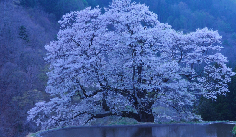 Jaki jest twój charakter?