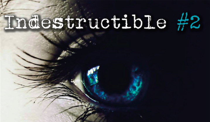 Indestructible #2