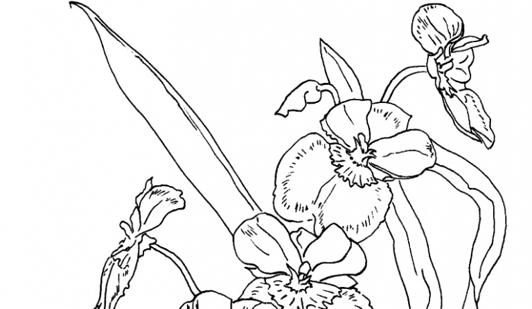 jak dobrze znasz naruciaka