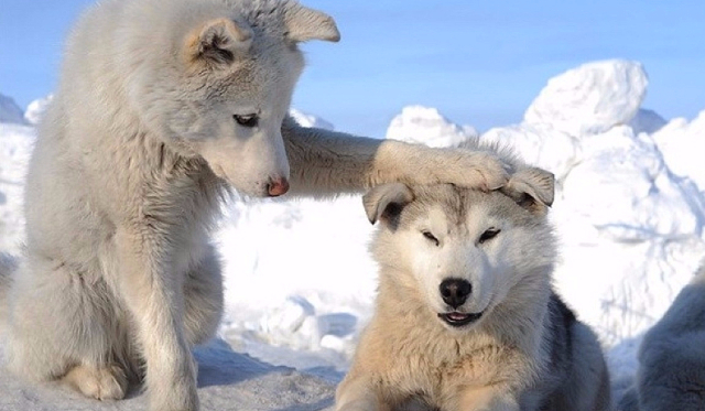 Masz szczęście ? Sprawdź !