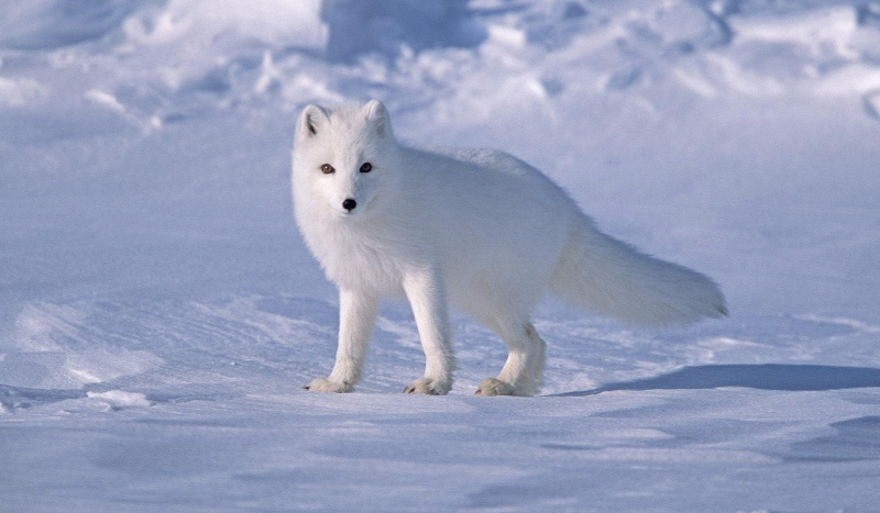 ulubiony przedmiot szkolny