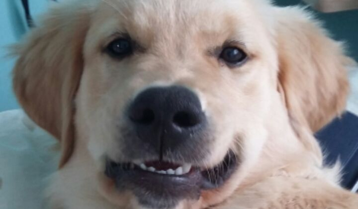 jak dobrze znasz swoją osobowość