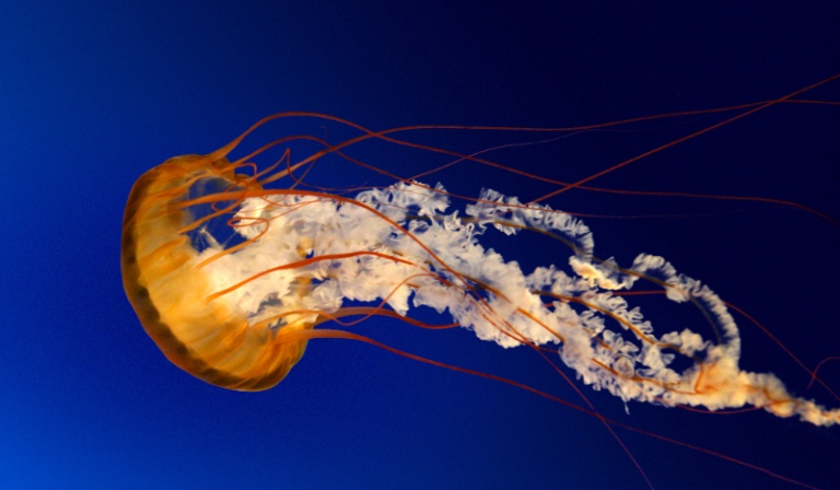 10 najdziwniejszych pytań z serii co wolisz?